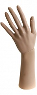 ARM-A /Рука (короткая)